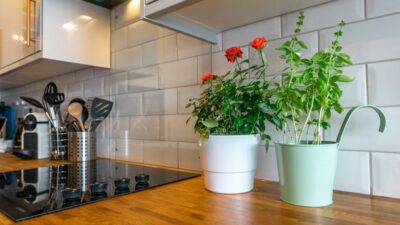 From Concrete Jungle to Green Oasis: Financial Strategies for Urban Homesteading in 2026