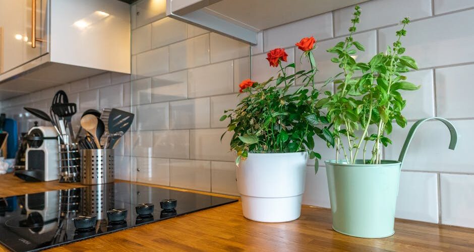 From Concrete Jungle to Green Oasis: Financial Strategies for Urban Homesteading in 2026