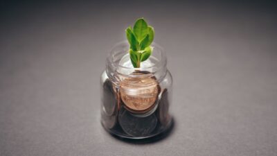The Rise of Sustainable Living: Financial Strategies for a Greener 2026
