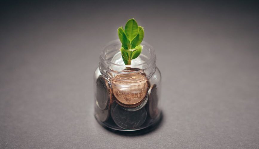 The Rise of Sustainable Living: Financial Strategies for a Greener 2026